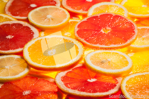 Image of Colorful citrus fruit slices