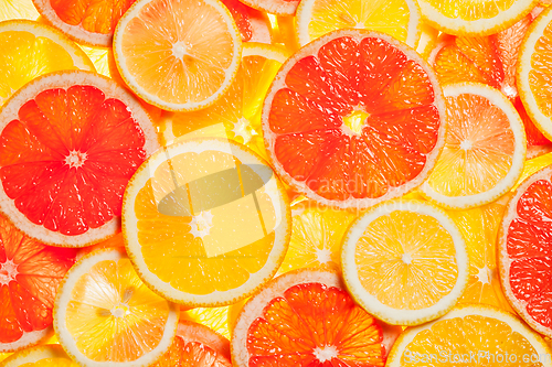 Image of Colorful citrus fruit slices