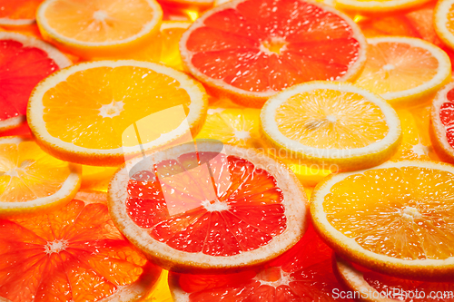 Image of Colorful citrus fruit slices