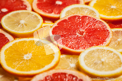 Image of Colorful citrus fruit slices