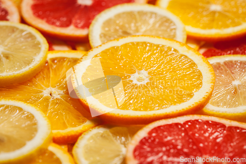 Image of Colorful citrus fruit slices