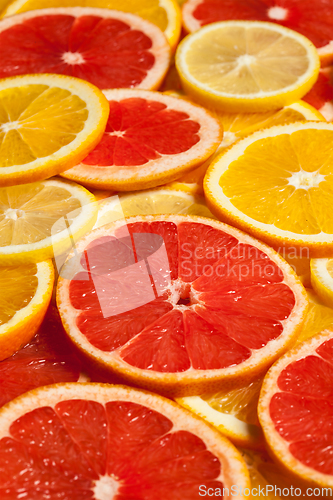 Image of Colorful citrus fruit slices