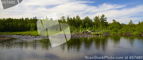 Image of Forest Across River