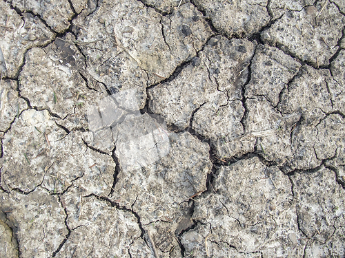 Image of fissured soil background