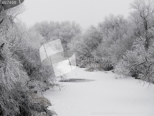 Image of Frosted Creek Bank