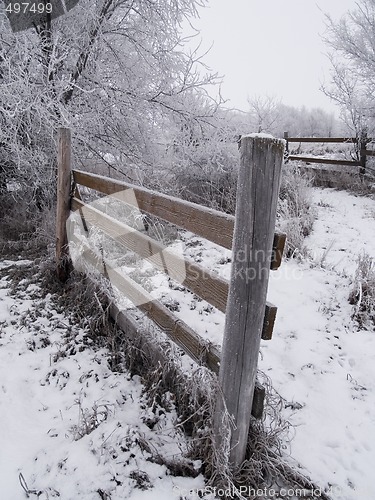 Image of Frosted Fences