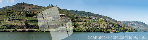 Image of Point of view shot of terraced vineyards in Douro Valley