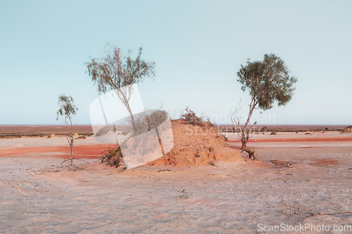 Image of Australian desert landscape