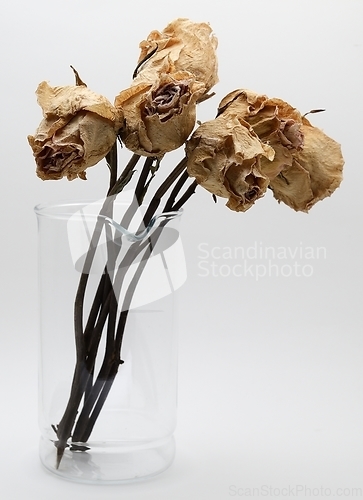 Image of bouquet of dried roses in a glass jar 