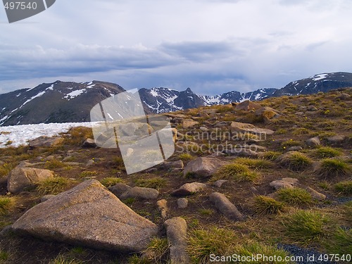 Image of Rain Over Alpine Tundra