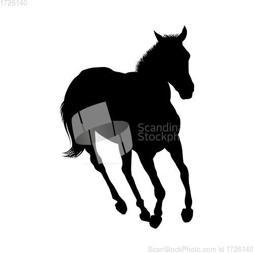 Image of Horse Silhouette