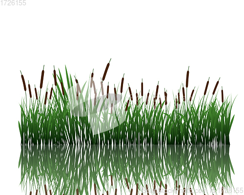 Image of meadow with reflection