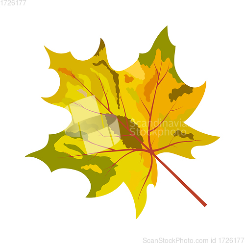 Image of Autumn Maple Leaf