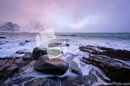 Image of Coast of Norwegian sea on rocky coast in fjord on sunset