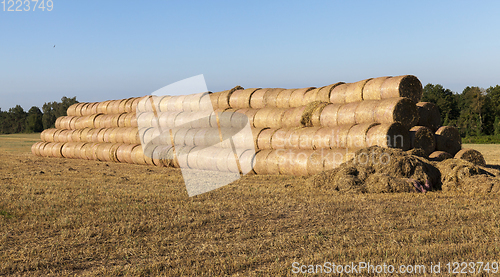 Image of packaged straw straw