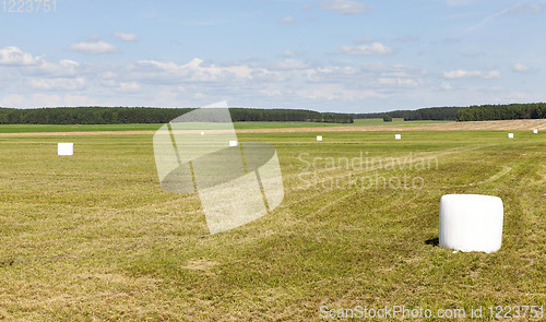 Image of straw packing