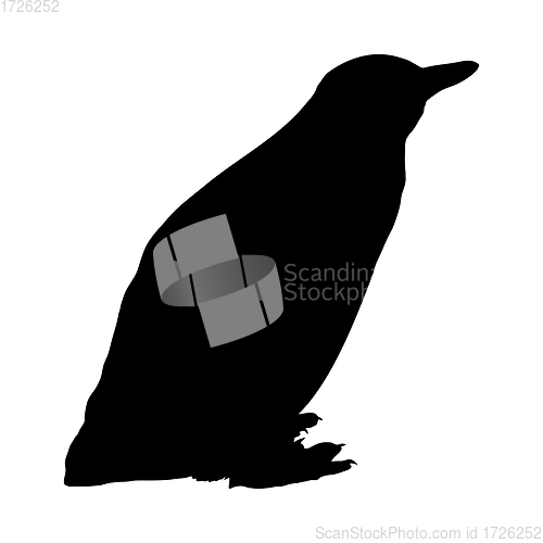 Image of Penguin Silhouette