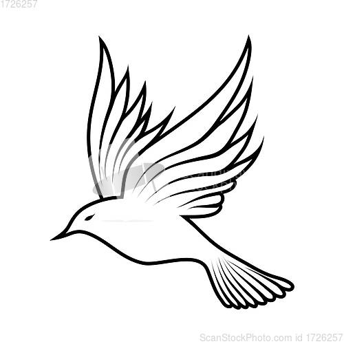 Image of Sketch of Bird