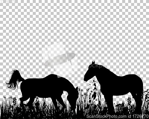 Image of Horse silhouette on Grass Background