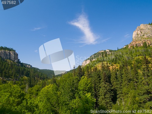 Image of Summer in Spearfish Canyon