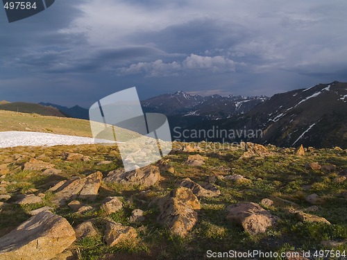 Image of Trail Ridge Shadows