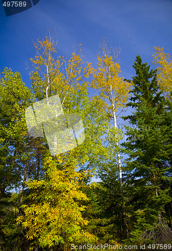 Image of Yellow, Green, and Blue Sky