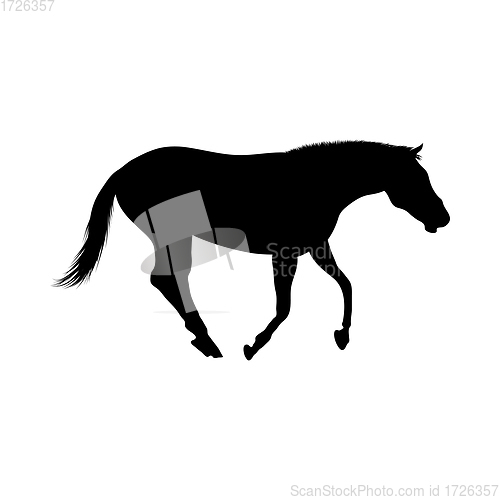 Image of Horse Silhouette