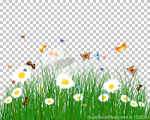 Image of Color meadow