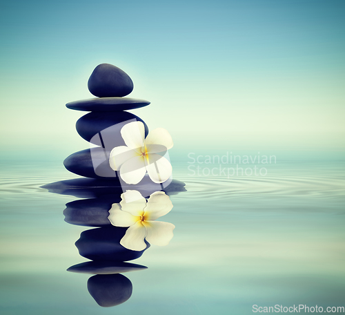 Image of Zen stones with frangipani