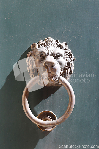 Image of Doorknocker with head of lion on a green wooden door