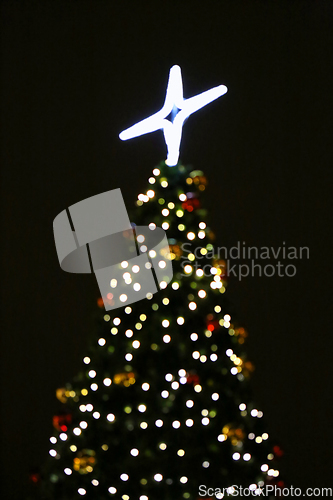 Image of Christmas tree, unfocused holiday abstract background