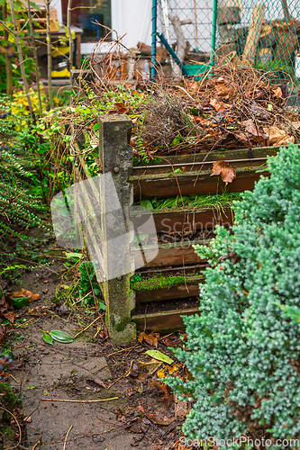 Image of Composter bin in garden - recycling of garden and kitchen waste