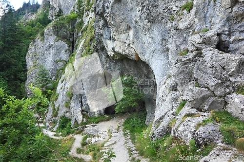 Image of A cave called the Jaskinia Oblazkowa in Poland