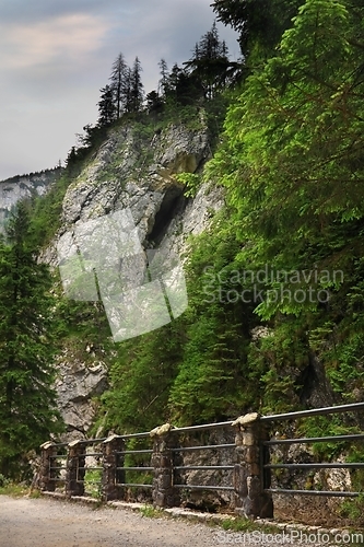 Image of Valley Dolina Koscieliska in Poland