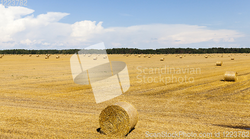 Image of stack straw in roll