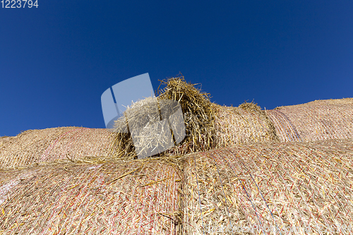 Image of stacked straw