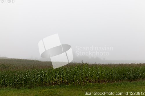 Image of fog landscape