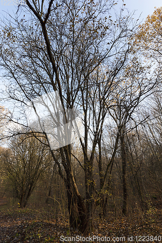 Image of cloudy rainy late autumn