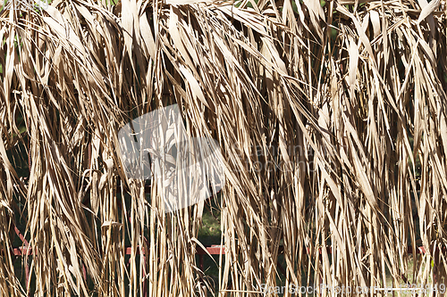 Image of grass decoration fence