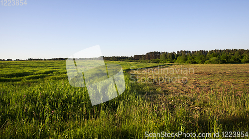 Image of landscape field