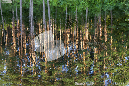 Image of reflection in the water