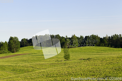 Image of landscape at the sunset