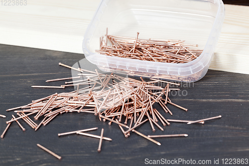 Image of red copper nails