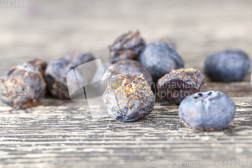 Image of rotten blueberries