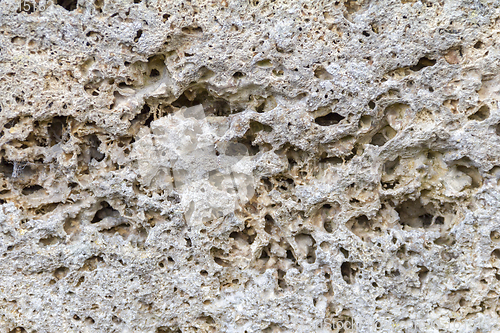 Image of cavernous stone detail