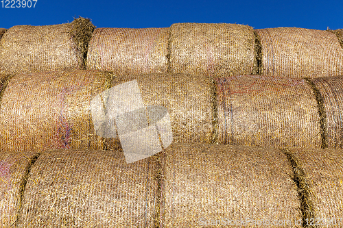 Image of stacked straw