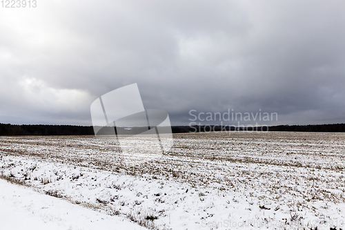 Image of After snowfall field