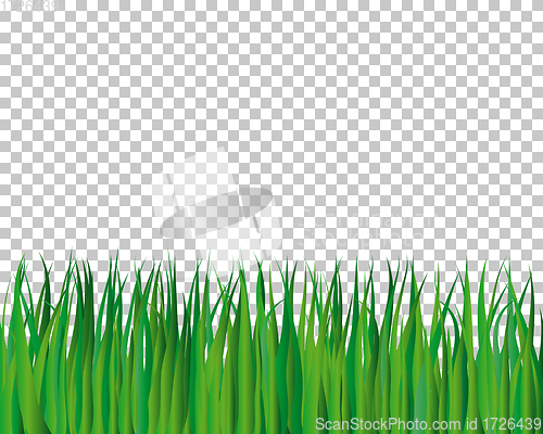 Image of grass background