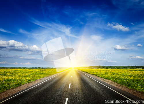 Image of Road in blooming spring meadow