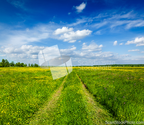 Image of Spring summer - rural road in green field scenery lanscape